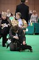 Crufts2011_2 970